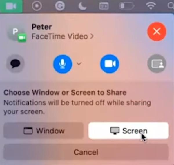 Choose the screen sharing option