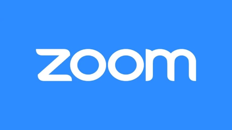 cast from Zoom