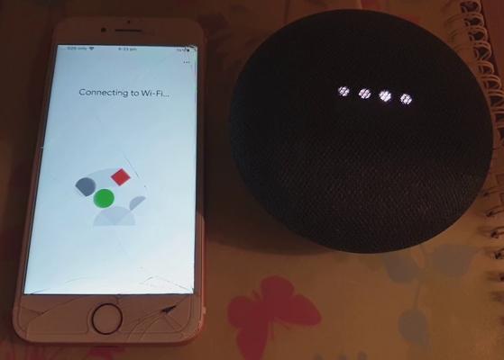 connect Google Home app