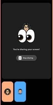 stop screen sharing